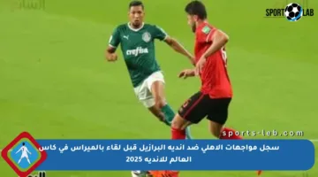 سجل مواجهات الأهلي ضد أندية البرازيل قبل لقاء بالميراس في كأس العالم للأندية 2025